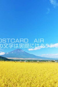 y{̕i|XgJ[hAIRzÉxmRƓcڂ̂͂nKLt Be/YOSHIO IWASAWA