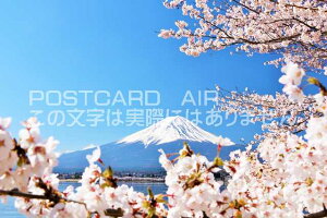 y{̕i|XgJ[hAIRzxmRƍ̂͂nKLt Be/YOSHIO IWASAWA