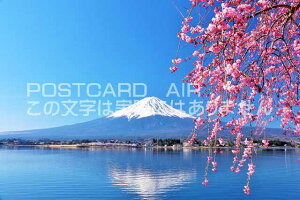 y{̕i|XgJ[hAIRzxmRƍƌ΂̂͂nKLt Be/YOSHIO IWASAWA