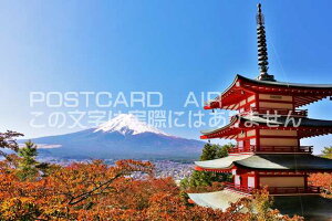 y{̕i|XgJ[hAIRzxmRƏH̐VqԐ_Ђ̂͂nKLt Be/YOSHIO IWASAWA