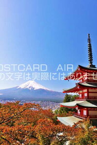 y{̕i|XgJ[hAIRzxmRƏH̐VqԐ_Ђ̂͂nKLt Be/YOSHIO IWASAWA