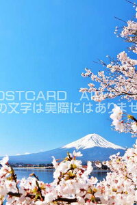 y{̕i|XgJ[hAIRzxmRƍ̂͂nKLt Be/YOSHIO IWASAWA