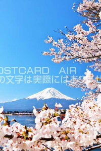 y{̕i|XgJ[hAIRzxmRƍ̂͂nKLt Be/YOSHIO IWASAWA