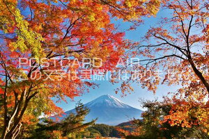 y{̕i|XgJ[hAIRzHgtƕxmR̂͂nKLt Be/YOSHIO IWASAWA