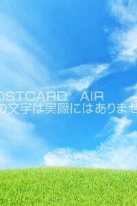 y{̕i|XgJ[hAIRzt@̑̂͂nKLt Be/YOSHIO IWASAWA