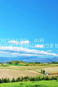 y{̕i|XgJ[hAIRzkC@l@Ԃ̉Ƃ̂͂nKLt Be/YOSHIO IWASAWA