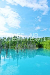 y{̕i|XgJ[hAIRzkC@Ă̐r̂͂nKLt Be/YOSHIO IWASAWA