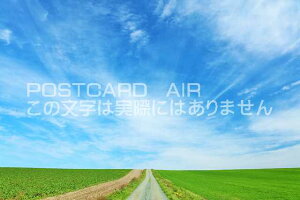 y{̕i|XgJ[hAIRzkC@H̐Ɣl̑nƓ̂͂nKLt Be/YOSHIO IWASAWA