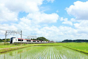 y{̕i|XgJ[hAIRzt@ci𑖂鐬cGNXvX̂͂nKLt Be/YOSHIO IWASAWA