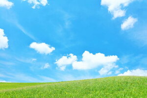 y{̕i|XgJ[hAIRzƂۂۂ炭V΂̑î͂nKLt Be/YOSHIO IWASAWA