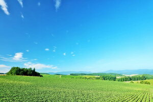 y{̕i|XgJ[hAIRzkC@̔l̂͂nKLt Be/YOSHIO IWASAWA