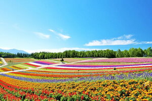 y{̕i|XgJ[hAIRzkC@lGʂ̋û͂nKLt Be/YOSHIO IWASAWA