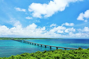 y{̕i|XgJ[hLac et Soleilz@̗ԑ勴̂͂nKLt1 Be/YOSHIO IWASAWA