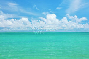 y{̕i|XgJ[hLac et Soleilz@{Ó@ƃGhO[̊C1̂͂nKLt Be/YOSHIO IWASAWA