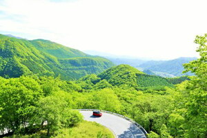 y{̕i|XgJ[hAIRzȖ،@V΂͍̉̂͂nKLt Be/YOSHIO IWASAWA