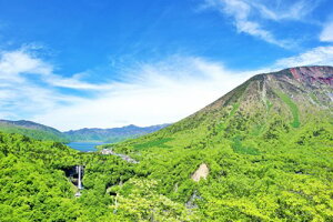 y{̕i|XgJ[hAIRzȖ،@V΂̉̂͂nKLt Be/YOSHIO IWASAWA