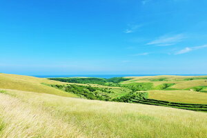 y{̕i|XgJ[hAIRzkC@̏@Ju˂̂͂nKLt Be/YOSHIO IWASAWA