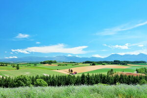 �y���{�̕��i�|�X�g�J�[�h��AIR�z�k�C���@���l�@�Ԃ������̂���u�̂͂����n�K�L�t�� �B�e/YOSHIO IWASAWA