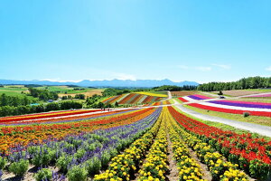 y{̕i|XgJ[hAIRzkC@lGʂ̋û͂nKLt Be/YOSHIO IWASAWA