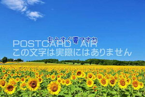 ytœ`|XgJ[hAIRzuĂłˁvЂ܂̂͂nKLt Be/YOSHIO IWASAWA