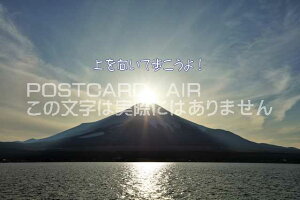 ytœ`|XgJ[hAIRzuĕIv_Chxm̂͂nKLt Be/YOSHIO IWASAWA