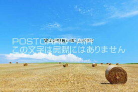 【暑中見舞いポストカードAIR】「暑中お見舞い申し上げます」北海道の畑のはがきハガキ葉書 撮影/YOSHIO IWASAWA