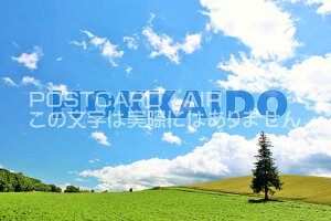 y{̃|XgJ[hAIRzuHOKKAIDOvkC̃NX}X̖؂̂͂nKLt Be/YOSHIO IWASAWA