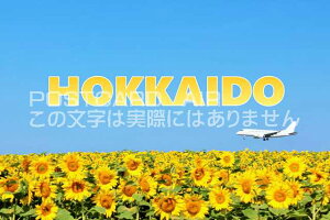 y{̃|XgJ[hAIRzuHOKKAIDOvkČ̕î͂nKLt Be/YOSHIO IWASAWA