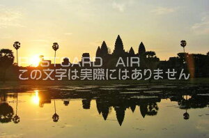 yJ{WA̕i|XgJ[hAIRzJ{WA@AR[bg̖閾̂͂nKLt Be/YOSHIO IWASAWA