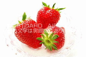 yH̃|XgJ[hAIRziXJCx[ĵ͂nKLt Be/YOSHIO IWASAWA