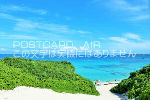 y{̃|XgJ[hAIRzꌧ@{Ó@̍Rr[`̂͂nKLt Be/YOSHIO IWASAWA