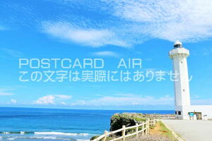 y{̃|XgJ[hAIRzꌧ@{Ó@蓔̂͂nKLt Be/YOSHIO IWASAWA