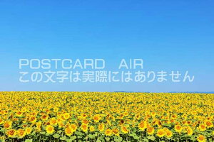 y{̃|XgJ[hAIRzkC@LȉĂ̂Ђ܂蔨̂͂nKLt Be/YOSHIO IWASAWA