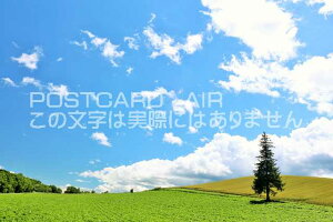 y{̃|XgJ[hAIRzkC@NX}X̖؂̂͂nKLt Be/YOSHIO IWASAWA