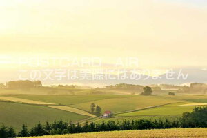 y{̃|XgJ[hAIRzkC@l̖閾̂͂nKLt Be/YOSHIO IWASAWA