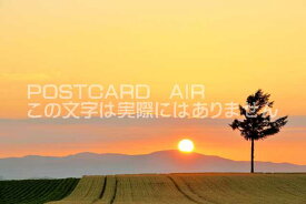 【日本のポストカードAIR】北海道　メルヘンの丘夕暮れのはがきハガキ葉書 撮影/YOSHIO IWASAWA