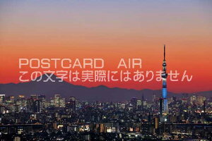 y{̃|XgJ[hAIRziƕxmR̕î͂nKLt Be/YOSHIO IWASAWA