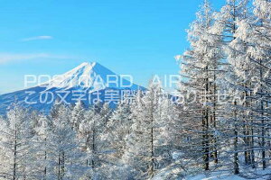 y{̃|XgJ[hAIRzR@Oc@XƕxmR̕î͂nKLt Be/YOSHIO IWASAWA