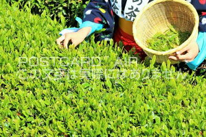 y{̃|XgJ[hAIRzÉ@Ă̒E݂̕î͂nKLt Be/YOSHIO IWASAWA