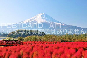 y{̕i|XgJ[hzH̃RLAƕxmR̂͂nKLtBe/YOSHIO IWASAWA