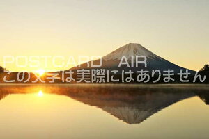 y{̕i|XgJ[hz 閾̌΂ƕxmR̂͂nKLt Be/YOSHIO IWASAWA