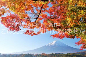 y{̕i|XgJ[hzgtƕxmR̂͂nKLt Be/YOSHIO IWASAWA