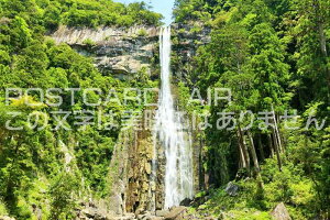 y{̕i|XgJ[hza̎Rߒq̑̂͂nKLt Be/YOSHIO IWASAWA