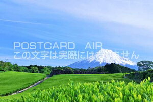 y{̕i|XgJ[hzÉ@xmRƒ̂͂nKLt Be/YOSHIO IWASAWA