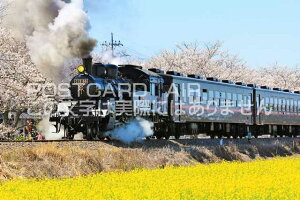 y{̕i|XgJ[hzȖ،@t̐^S@SL̂͂nKLt Be/YOSHIO IWASAWA