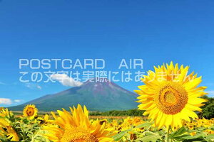 y{̕i|XgJ[hzR@xmRƂЂ܂̂͂nKLt Be/YOSHIO IWASAWA