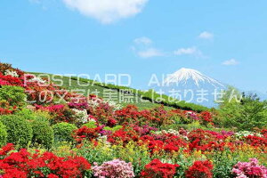 y{̕i|XgJ[hzÉ@xmRƃccŴ͂nKLt Be/YOSHIO IWASAWA