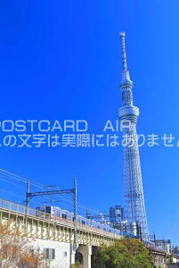 y{̃|XgJ[hAIRzV̓XJCc[ƃC[Xg^[̂͂nKLt Be/kazukiatuko