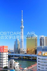 y{̃|XgJ[hAIRzXJCc[ƖncƃATqr[̂͂nKLt Be/kazukiatuko