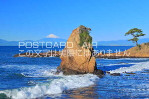 y{̃|XgJ[hAIRz_ސ쌧xmRƗΊĈ݂͂nKLt Be/kazukiatuko